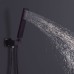 Lanbo Shower System LB640012MB