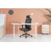 Lanbo Ergonomic Office Chair - LBZM8001BK 