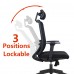 Lanbo Ergonomic Office Chair - LBZM8001BK 