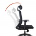 Lanbo Ergonomic Office Chair - LBZM8001BK 