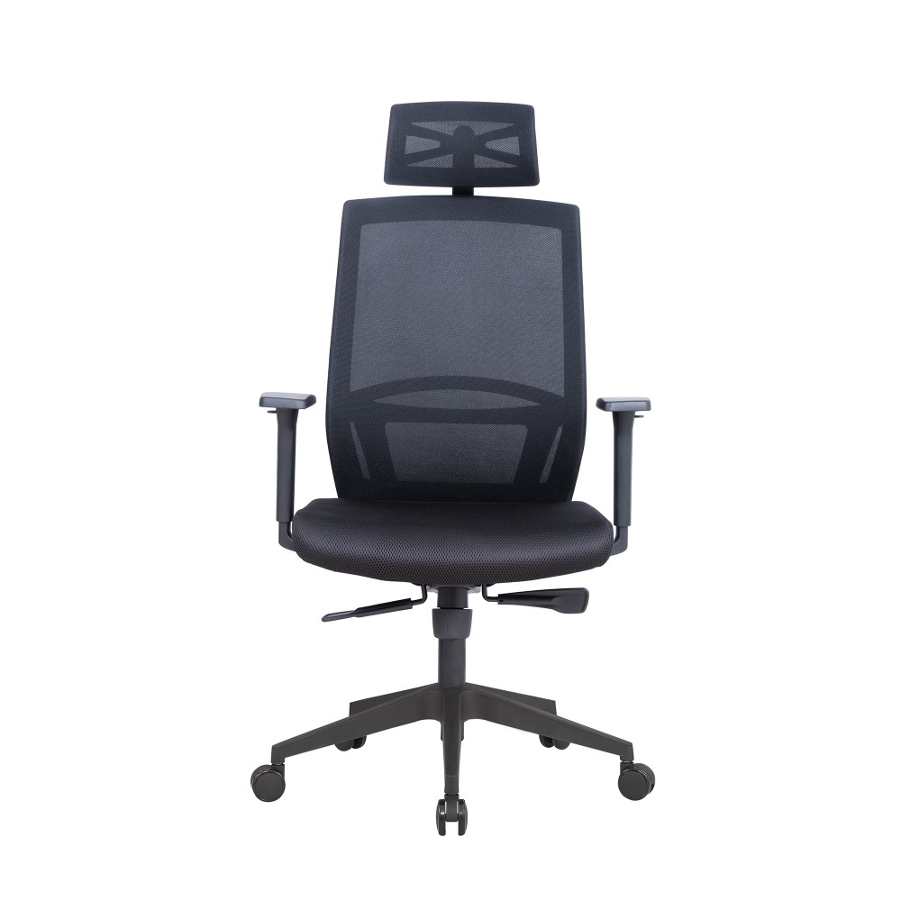 NewAir-Lanbo Ergonomic Office Chair - LBZM8001BK 