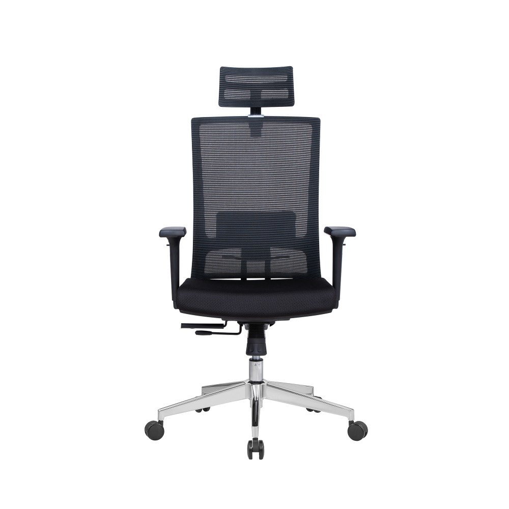 Lanbo Ergonomic Office Chair - LBZM8009BK