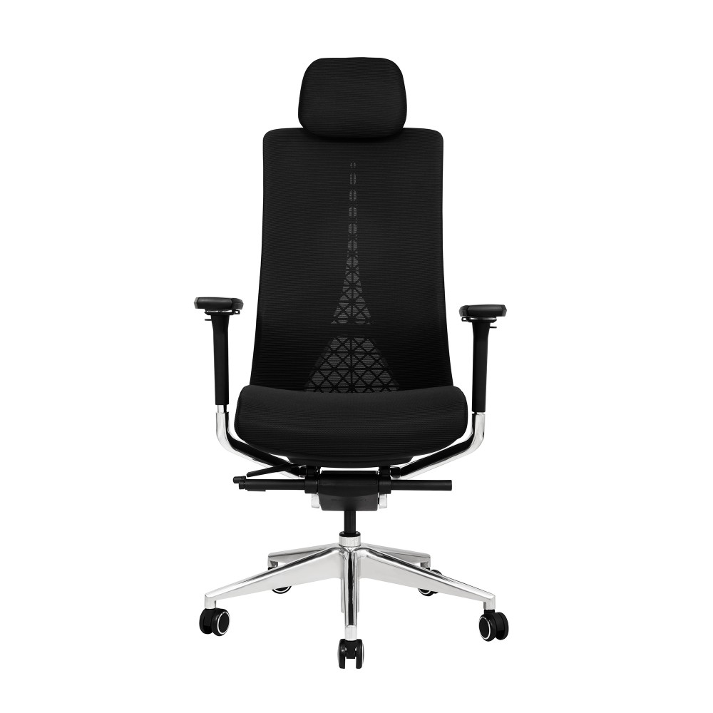 Mesh Office Chair, Ergonomic Office Chair with Adjustable Lumbar Support,  Armrest, Headrest - Tilt High Back Desk Chair with Mute Wheel for Office