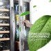 Sinoartizan 24 Inch Wine and Beverage Cooler ST-36B