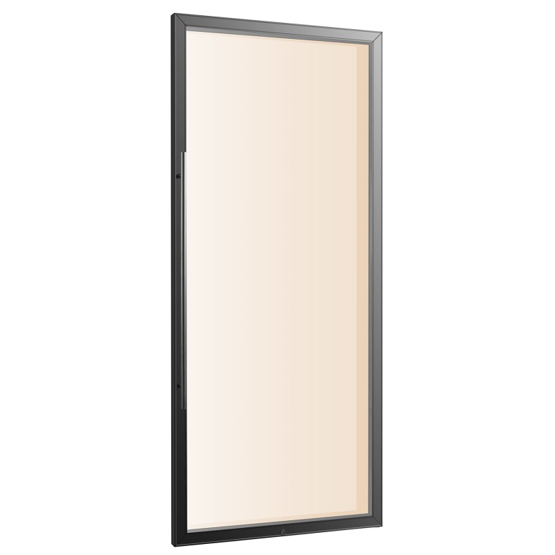 Glass Door for LW306D/LW321S